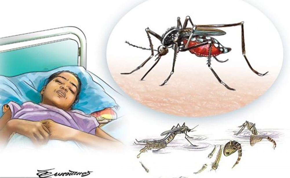 बागलुङमा डेङ्गु नियन्त्रण र अनुसन्धानका लागि सरकारी विज्ञ टोली परिचालन