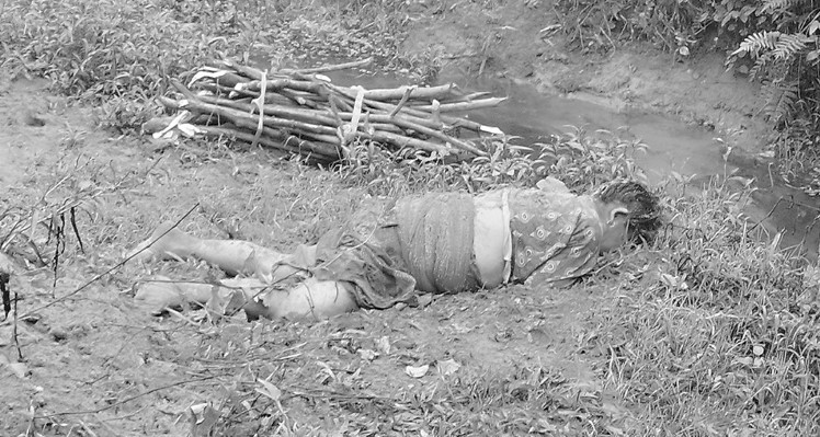 जंगली हात्तीको आक्रमणबाट बृद्धको मृत्यु